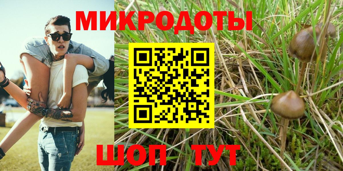 Псилоцибиновые грибы ЛСД Чапаевск