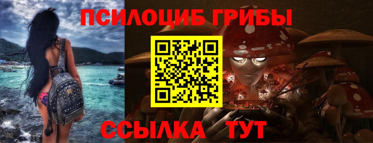 Чапаевск  Галлюциногенные грибы MAGIC MUSHROOMS  Вход с VPN 