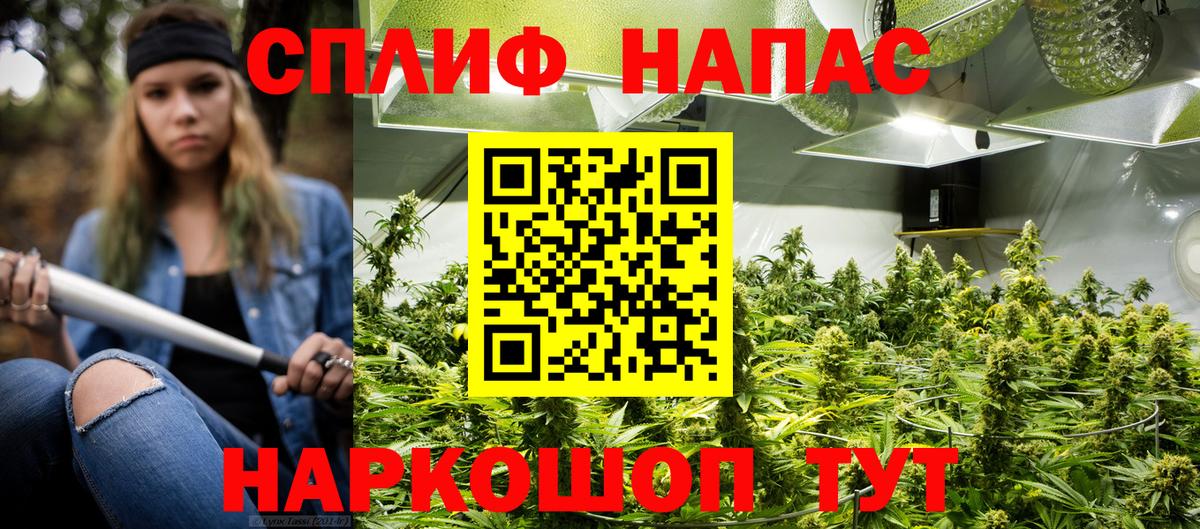 Конопля OG Kush Чапаевск
